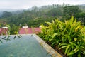 Beautiful outdoor pool with view on forest in Kandy, Sri Lank