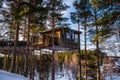 Beautiful outdoor rural wooden structure family tree house in the forest based on the pine tree in a winter wonderland Royalty Free Stock Photo