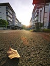 Beautiful outdoor scenery in the morning with dry leafs on the road at apartment area.