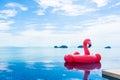 Beautiful outdoor swimming pool in hotel resort with flamingo float around sea ocean white cloud on blue sky Royalty Free Stock Photo