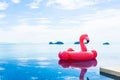 Beautiful outdoor swimming pool in hotel resort with flamingo float around sea ocean white cloud on blue sky Royalty Free Stock Photo