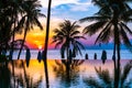 Beautiful outdoor tropical nature landscape of swimming pool in hotel resort with coconut palm tree umbrella and chair nearly sea Royalty Free Stock Photo