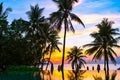 Beautiful outdoor tropical nature landscape of swimming pool in hotel resort with coconut palm tree umbrella and chair nearly sea Royalty Free Stock Photo