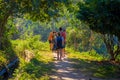 Beautiful outdoor view of a group of tourists walking in the nature, inside of Elephant jungle Sanctuary, surrounding of