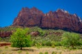 Beautiful outdoor view of huge mountains in Zion National Park, Utah, USA