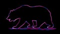 The beautiful outline of bear, with neon lighting.