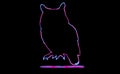 The beautiful outline of deer, with neon lighting. animal outline with neon light effect isolated on black background.