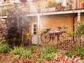 beautiful outside garden scene with a bike with flowers in basket and plant pots