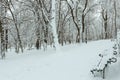Winter park in Lviv city, Ukraine Royalty Free Stock Photo