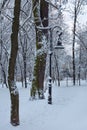 Winter park in Lviv city, Ukraine Royalty Free Stock Photo