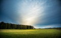 A beautiful overcast spring morning no Northern Europe. Springtime landscape with trees. Royalty Free Stock Photo