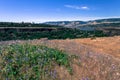 Wild flowers and scenic view at river gorge Royalty Free Stock Photo