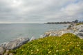 Beautiful Pacific coast, California Royalty Free Stock Photo