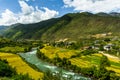 Beautiful paddy fields in bhutan paro kingdom during october Royalty Free Stock Photo