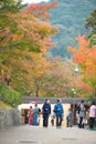 Beautiful Pagoda in Kiyomizu-dera Temple