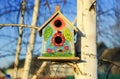 Beautiful painted bird house birdhouse hanging on birch tree in