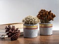 Beautiful painted concrete planter with dried flowers. Handmade cement pot for home decoration Royalty Free Stock Photo