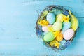 Beautiful painted Easter eggs in nest, feather and spring flowers on rustic table top view. Holiday card or banner Royalty Free Stock Photo