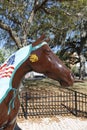 A beautiful painted horse sculpture in Ocala, Florida. This horse is titled 