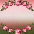 Beautiful painted rose on abstract background for congratulation Royalty Free Stock Photo