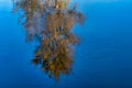 Beautiful painterly abstract of tree reflecting in water Royalty Free Stock Photo