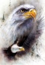 Beautiful painting of a detailed head of american golden eagle, on an abstract textured b Royalty Free Stock Photo