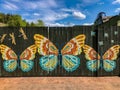 Painting on brown of three colorful butterflies