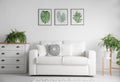 Beautiful paintings of tropical leaves over sofa in living room