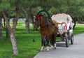 Beautiful pair - horse and cart Royalty Free Stock Photo