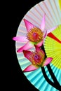 Pair of oriental water lilies with oriental paper fan background 