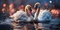 A beautiful pair of swans with their necks form a heart. Beautiful magical background.Mating games of a pair of white swans. Swans Royalty Free Stock Photo