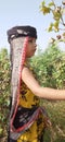 Beautiful Pakistani little girl picking cotton in field with cultural dress green environment Royalty Free Stock Photo