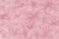 Beautiful pale pink floral background. Background for postcards, posters, banners, site. Vector image