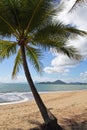 Australia, Queensland, Palm Cove, palm beach Royalty Free Stock Photo