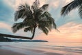 Beautiful palm tree on the beach in tropical sea on summer at the sunset Royalty Free Stock Photo