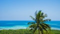 A beautiful palm tree coconut with green forest aerial view sea landscape with blue water sea in sunny day in karimun jawa indones Royalty Free Stock Photo