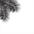 Beautiful Palm Tree Leaf Silhouette Background Vector Illustration Royalty Free Stock Photo