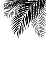 Beautiful Palm Tree Leaf Silhouette Background Vector Royalty Free Stock Photo