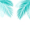 Beautiful Palm Tree Leaf Silhouette Background Vector Royalty Free Stock Photo