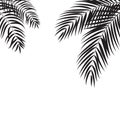 Beautiful Palm Tree Leaf Silhouette Background Vector Royalty Free Stock Photo