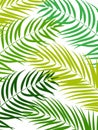 Beautiful Palm Tree Leaf Silhouette Background Vector Royalty Free Stock Photo