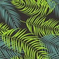 Beautiful Palm Tree Leaf Silhouette Background Vector Royalty Free Stock Photo