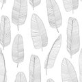 Beautiful Palm Tree Leaf Silhouette Seamless Pattern Background Vector Illustration Royalty Free Stock Photo