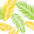 Beautiful Palm Tree Leaf Silhouette Seamless Pattern Background Royalty Free Stock Photo