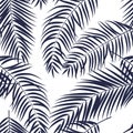 Beautiful Palm Tree Leaf Silhouette Seamless Pattern Background Royalty Free Stock Photo