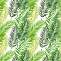 Beautiful Palm Tree Leaf Silhouette Seamless Pattern Background Royalty Free Stock Photo