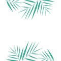 Beautiful palm tree leaf silhouette vector background illustration. Summer tropical palm tree leaves seamless pattern. Vector grun