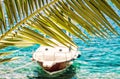 Beautiful palm tree and little boat in Maslinica, Solta, beauty Royalty Free Stock Photo