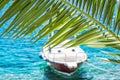 Beautiful palm tree and little boat in Maslinica, Solta island, Royalty Free Stock Photo