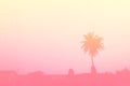 Beautiful Palm Tree Pastel Tone Nature, Copy Space of Summer. Minimal concept. Summer on The Beach with Palm in The Pink Sky.